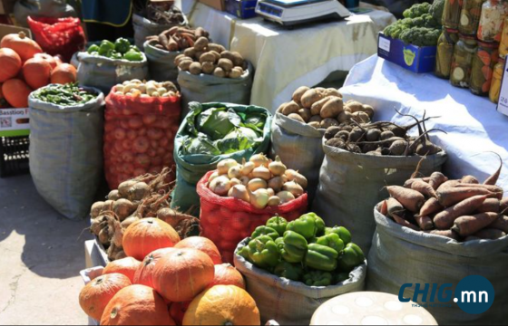 “Намрын ногоон өдрүүд 2025” Төв цэнгэлдэх хүрээлэнд эхэллээ