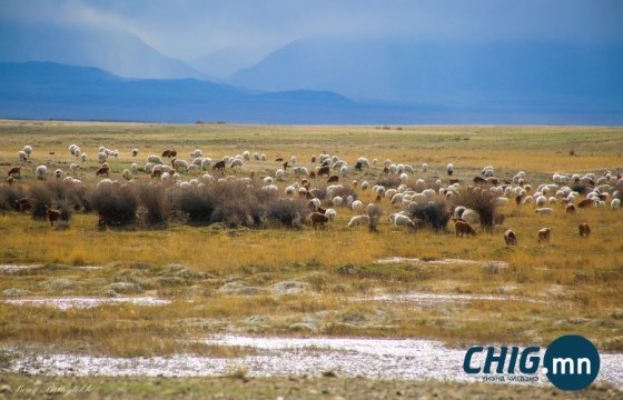 Аравдугаар сард ОЖД-аас хүйтэн байна 
