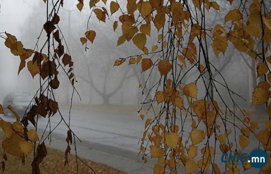 Улаанбаатарт бороо орно