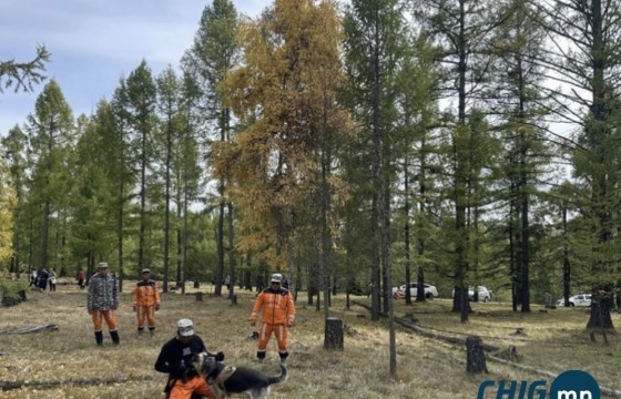 Эрлийн ажиллагаанд “могойн нүдэн дуран” ашиглаж байна