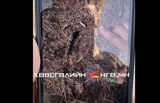 Олдсон мөр хүүхдийнх биш гэдэг нь тогтоогджээ