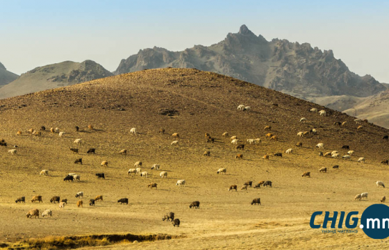 Хонь хариулж явсан хүүхдийн амь насыг хохироосон этгээдэд бүх насаар нь хорих ял оноолоо