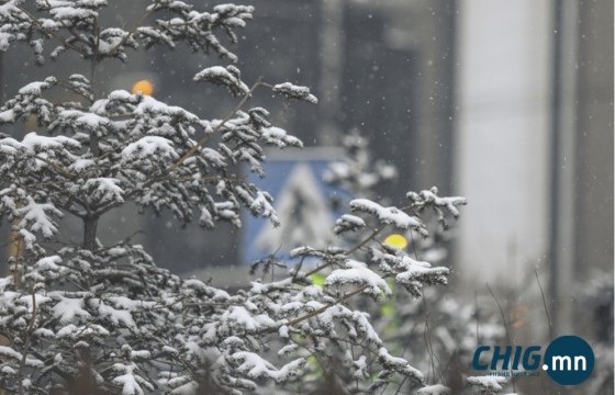 Улирлын урьдчилсан төлөв: 11–01 дүгээр саруудын уур амьсгал