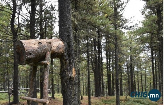 Самар түүхээр яваад сураггүй болсон иргэний цогцсыг зургаан хоногийн дараа олж, задлан шинжилгээнд оруулжээ