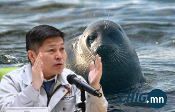 Үндэсний цэцэрлэгт хүрээлэнд далайн хавны аквариум барьж өгөх санал тавилаа 