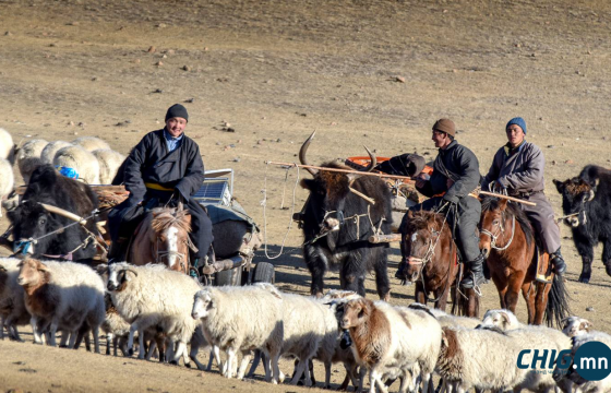 С.Амарсайхан: Отроор яваа малчдыг хөөж, шахаж хавчихгүй байхыг анхааруулж байна