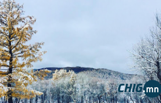 Энэ сарын 10-наас ихэнх нутгаар нойтон цас орно 