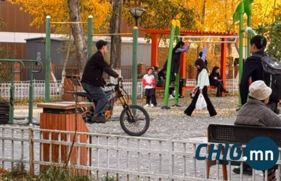 Тоглоомын талбайд скүүтер унаж, иргэнийг доромжилсон сурагчид дээр ХЭҮК  