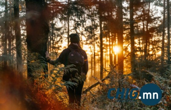 Намрын улирлын онцлог ба явдал мөр, хоол хүнс