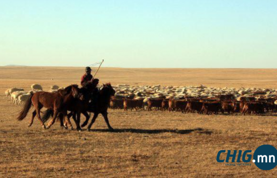 Увсад мал тууж яваад сураггүй болсон 67 настай эрэгтэйг эрэн хайж байна