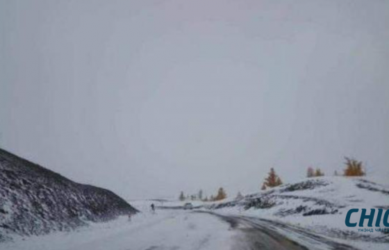 Сураггүй алга болсон 16 настай хүүг эрэн хайж байна