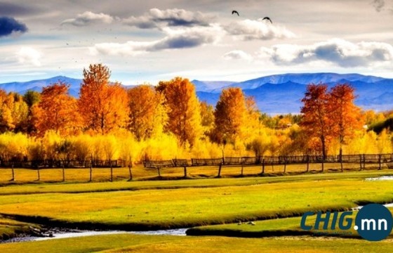 Ойрын өдрүүдэд ихэнх нутгаар дулаарна