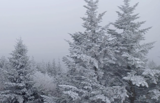 ОБЕГ: Нийт нутгийн 46 хувьд цастай байна
