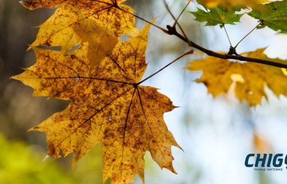 Улаанбаатарт өдөртөө 5 хэм дулаан байна