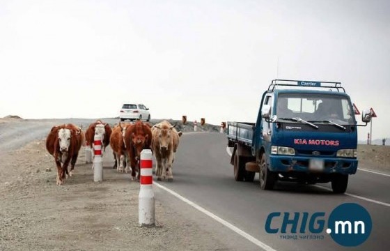 Малаа дайруулсан малчид буруудаж өрөнд ордог хуулийг өөрчлөх төслийг хэлэлцэхээр боллоо 