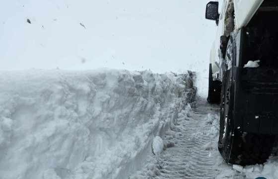 Автобусууд мөргөлдөж, цонхны цанг арилгаж байсан туслах жолооч амиа алджээ 