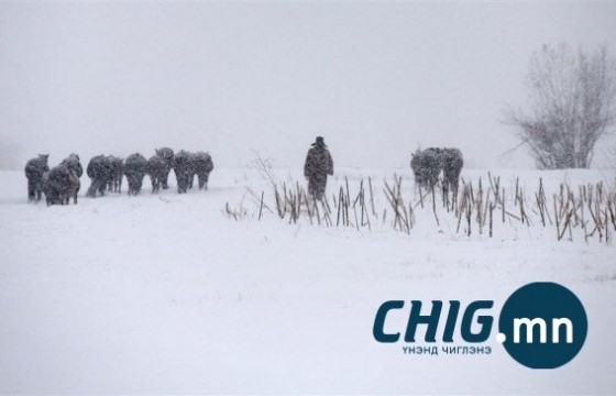 Амралтын өдрүүдээр эрс хүйтэрнэ