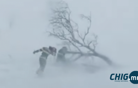 Өнөөдөр бага насны хүүхэд малд явуулахгүй байхыг онцгойлон анхаарууллаа 