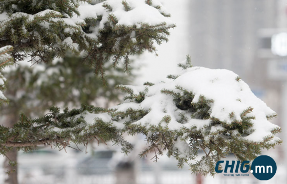 Улаанбаатарт өдөртөө 15 хэм хүйтэн байна