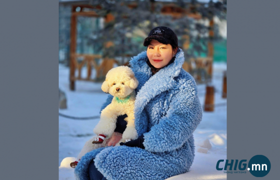 МУГЖ Т.Баясгалангийн холбоо муур, нохойны хоол, хэвтэр үйлдвэрлэнэ