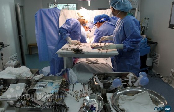 Эрхтэн солиулах жагсаалтад 1000 иргэн байгаа ч энэ онд тархины үхэлтэй донор илрээгүй