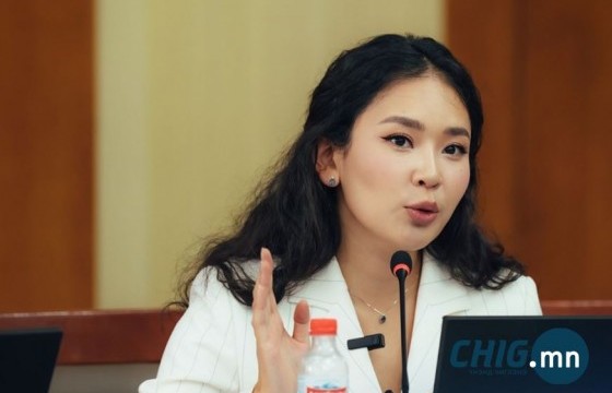 С.Цэнгүүн: УИХ-ын зардлаар нэг л удаа гадаад томилолтод явсан, бусад нь дандаа урилгаар... 