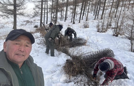 Богд уулыг хэрсэн торон хашааг буулгаж, амьтдад 10 га бэлчээр чөлөөлж өглөө 