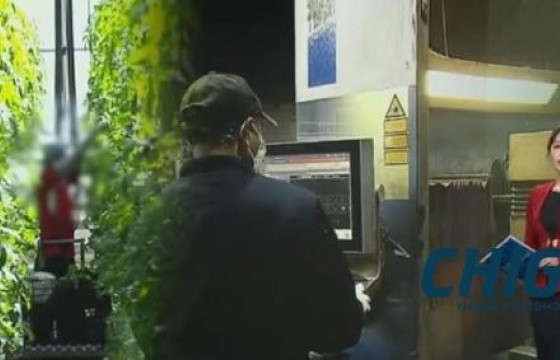 БНСУ-ын гадаад ажилчдын шалгалт үйлдвэрүүдийг хямрал руу түлхэж байна