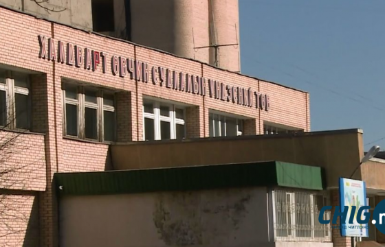 “Томуугийн H3N2, рино вирус, амьсгалын замын синцитиал вирусийн идэвхжил өндөр байна”