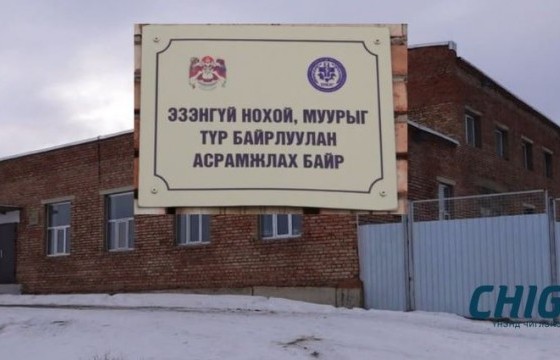 Эзэнгүй нохой, муурыг асрамжилдаг Нийслэлийн Мал Эмнэлгийн газар хаалга нээнэ үү 