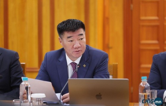 “Ачит Ихт” ХХК, “Эрдмин” ХХК, “Зэс эрдэнийн хувь” ХХК-д төрийн эзэмшлийн хувийг тогтооно 