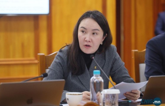 Өвөл жуулчдыг татах  “Хямдралын сар” аян зохион байгуулна 