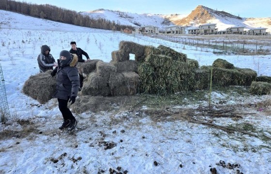 Богдхан уулын хамгаалалтын захиргааны ажилчид хашаа эвдэж, өвс буулгажээ  