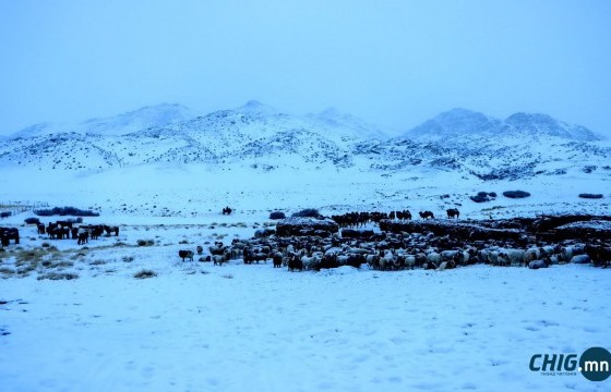 Малчид тээвэрчдийн анхааралд