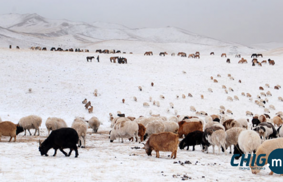 Баян-Өлгий, Увс, Ховдод өвөлжилт хүндрэх төлөвтэй байна