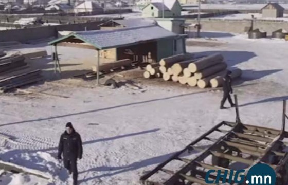 Хүдэр сумаас мод хулгайгаар бэлтгэж зардаг 7 компанийг илрүүллээ 