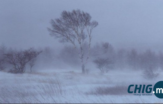 Сураггүй болсон 56 настай иргэнийг эсэн мэнд олжээ