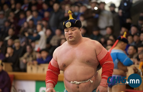 Ардчилсан Үндсэн хууль батлагдсаны 34 жилийн ойн барилдаанд зодоглох бөхчүүд