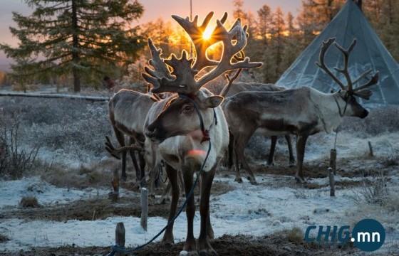 Дархад түмэн дагшин газраа 