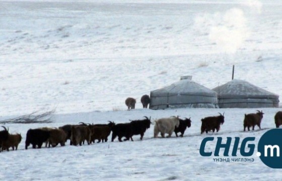 Маргаашаас хүйтрэх тул малаа бэлчээрлүүлэхгүй тэжээхийг зөвлөлөө 