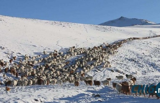 Есөн аймгийн 36 сум цагаан зудтай байна 