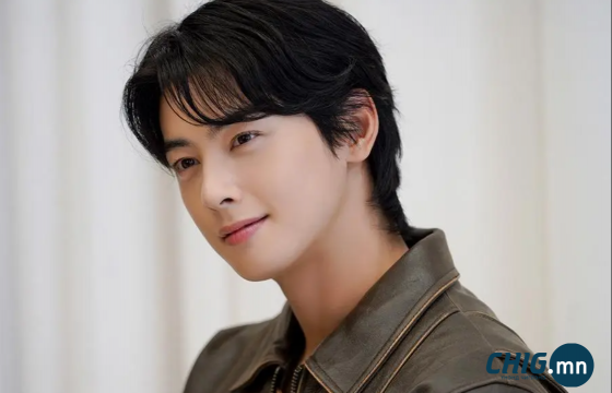 Ча Ын Ү 20 тэрбум воны татварын асуудлаар шалгагдаж байна