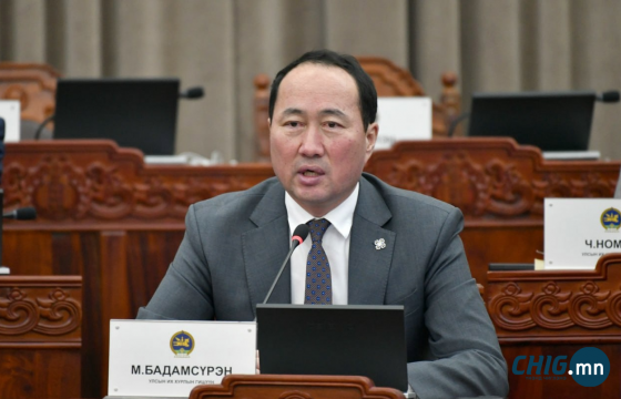 М.Бадамсүрэн: Төр бизнес хийхгүй. Хувийн хэвшлийг дэмжиж ажиллана