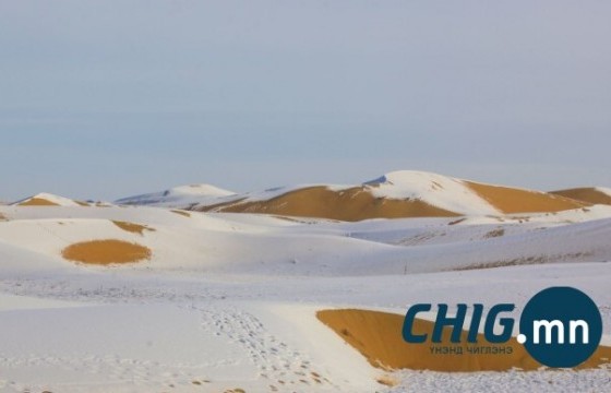 Хоёрдугаар сарын эхний өдрүүдэд говийн нутгаар +1 хэм болно 