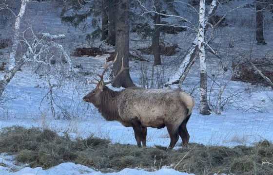 Цаг агаар хүндэрсэн үед дархан цаазат болон байгалийн цогцолборт газарт мал бэлчээрлүүлж болно