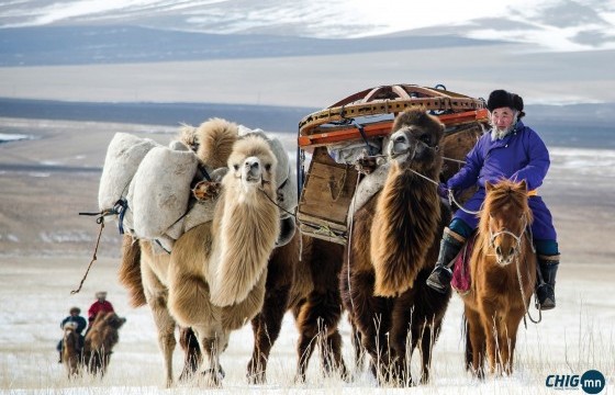 Маргаашаас эхлэн тав хоног цас орно 