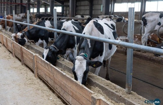 Сургуулиудыг сүүгээр хангахын тулд фермерүүдэд хөнгөлөлттэй зээл олгоно 