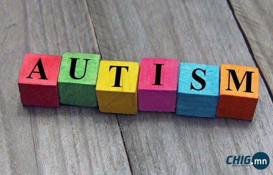 Аутизмтай иргэдийн тусгай хууль санаачлах тухай өргөдлийг 477 иргэн дэмжээд байна 