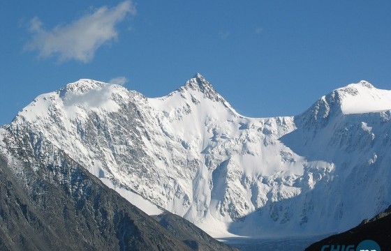 Цэнгэл сумын иргэн Монгол-Алтайн нуруунаас баавгай агнажээ 