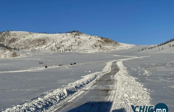 Нийт нутгийн 72 хувь цасан бүрхүүлтэй байна 
